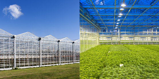 玻璃溫室大棚監控系統