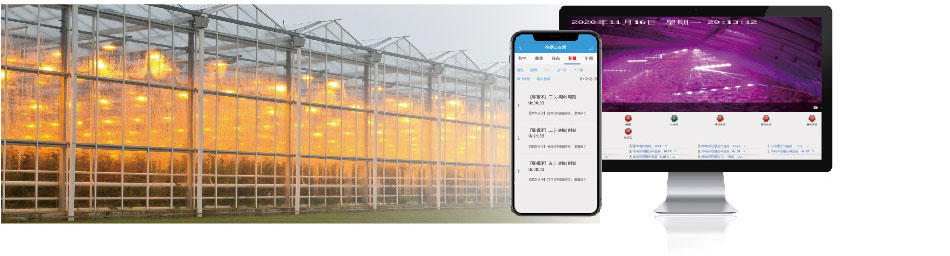 溫室大棚智能控制系統自動補光控制 溫室大棚智能控制系統自動補光控制
