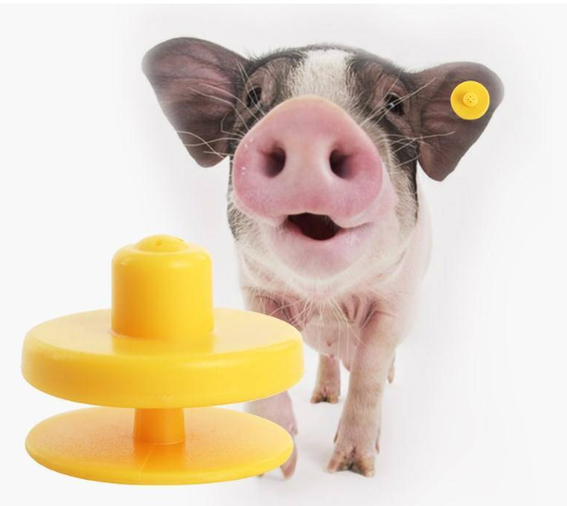 禽畜單體監(jiān)測 禽畜單體監(jiān)測