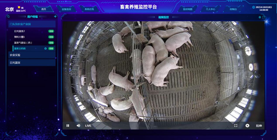 智慧禽畜養(yǎng)殖系統(tǒng)云平臺 智慧禽畜養(yǎng)殖系統(tǒng)云平臺