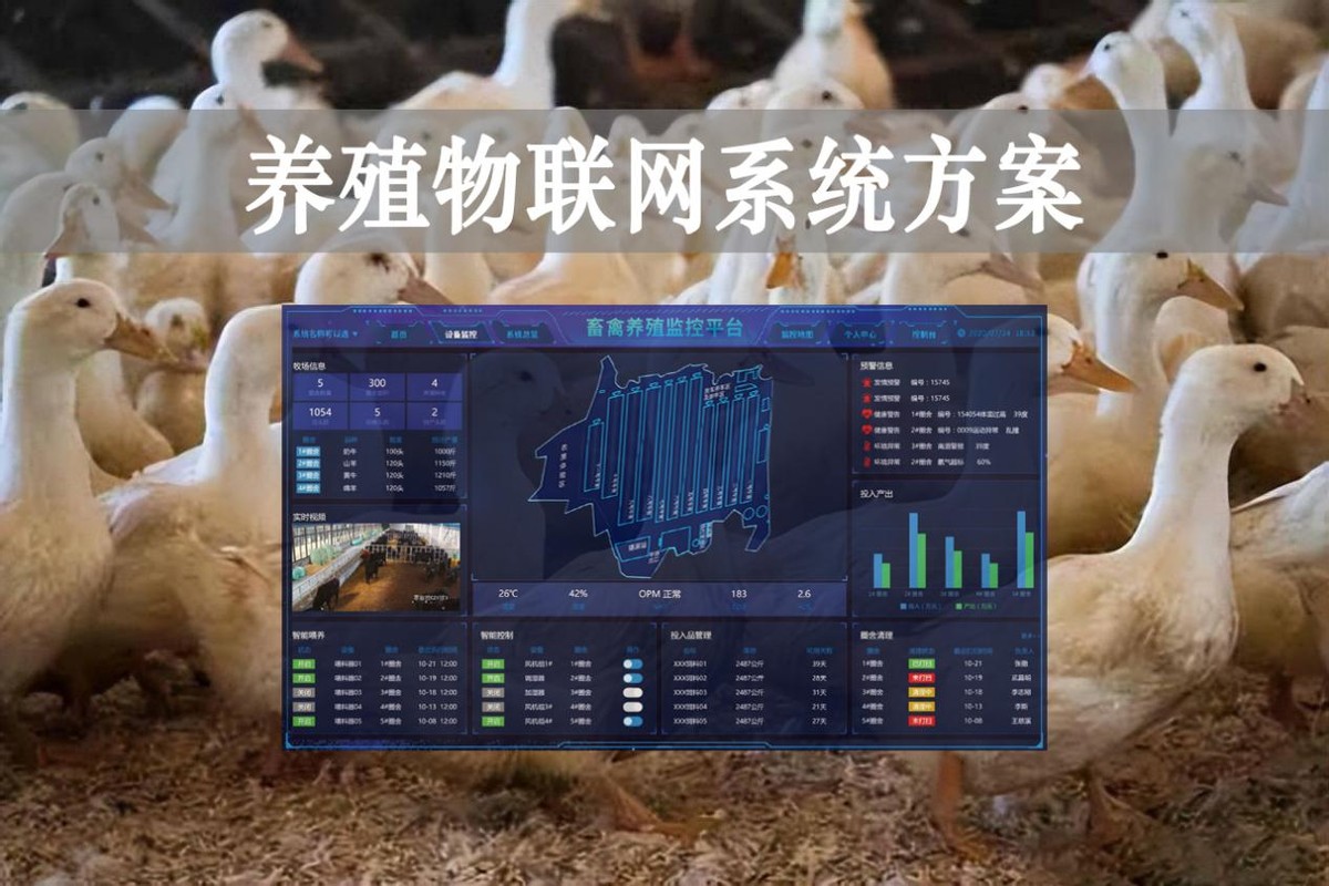 【智慧養殖】數字經濟時代到來，養殖物聯網系統方案來了