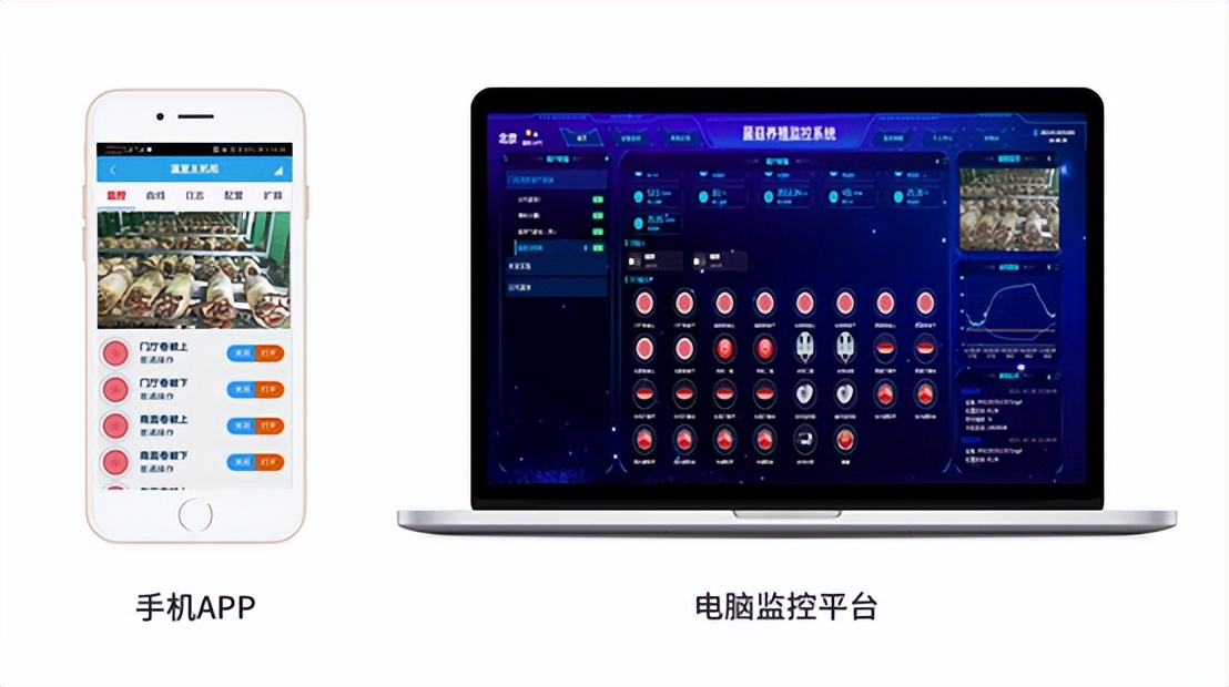 智能食用菌菇房管理系統
