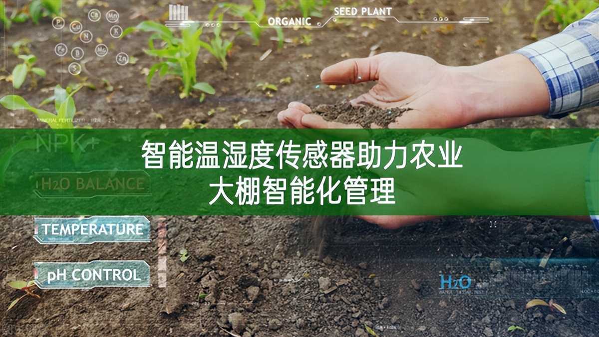 智能溫濕度傳感器助力農業大棚智能化管理