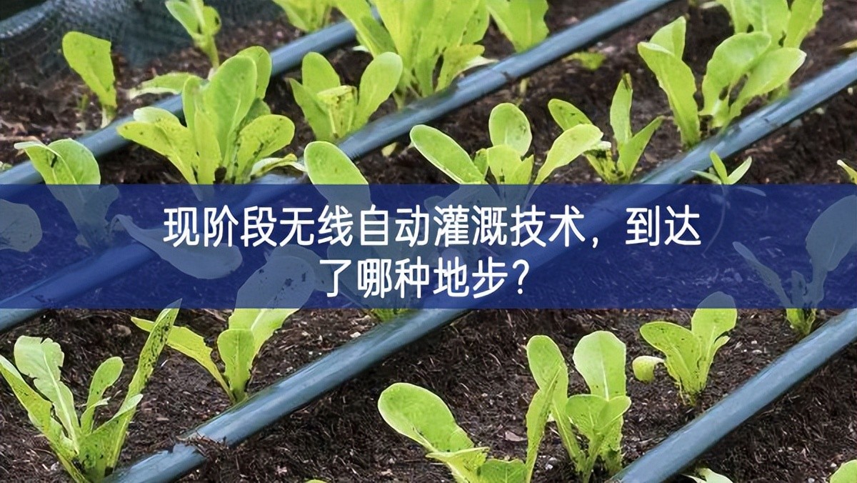 現階段無線自動灌溉技術，到達了哪種地步？
