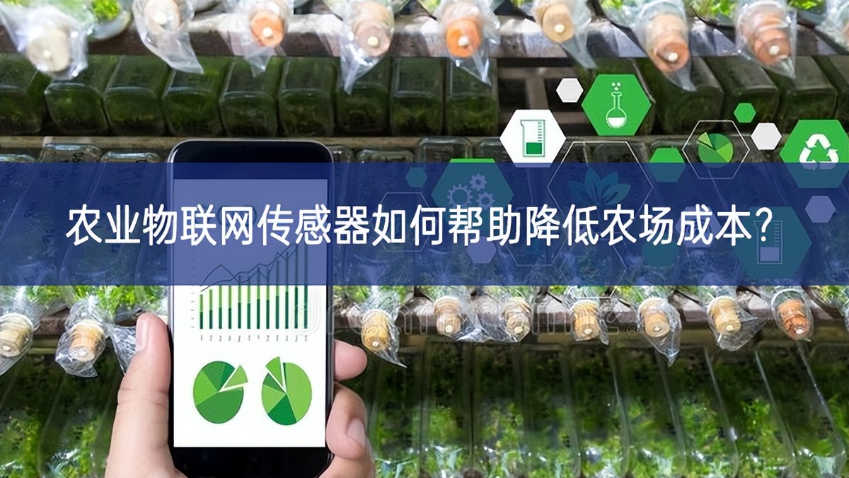農(nóng)業(yè)物聯(lián)網(wǎng)傳感器如何幫助降低農(nóng)場成本? 農(nóng)業(yè)物聯(lián)網(wǎng)傳感器如何幫助降低農(nóng)場成本?