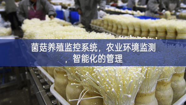 菌菇養殖監控系統,農業環境監測,智能化的管理 菌菇養殖監控系統,農業環境監測,智能化的管理