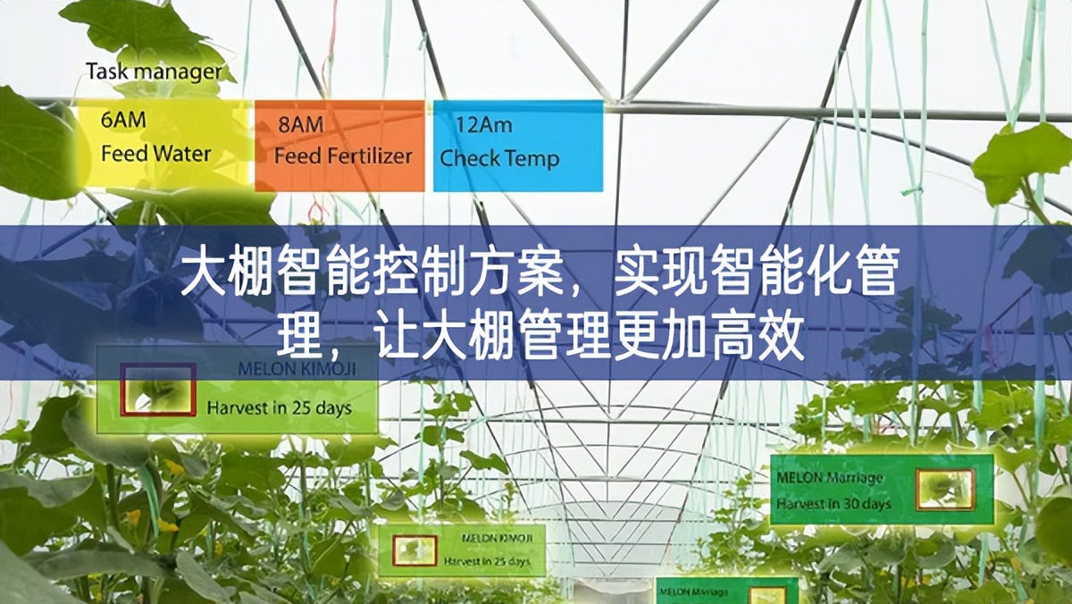 大棚智能控制方案,實現智能化管理,讓大棚管理更加高效 大棚智能控制方案,實現智能化管理,讓大棚管理更加高效