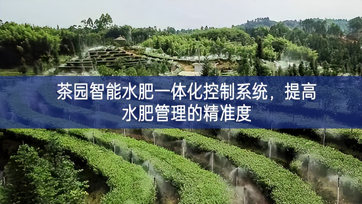 茶園智能水肥一體化控制系統(tǒng),提高水肥管理的精準(zhǔn)度 茶園智能水肥一體化控制系統(tǒng),提高水肥管理的精準(zhǔn)度