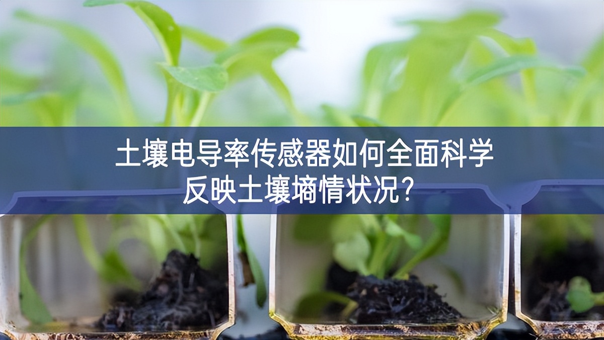 土壤電導率傳感器如何全面科學反映土壤墑情狀況? 土壤電導率傳感器如何全面科學反映土壤墑情狀況?