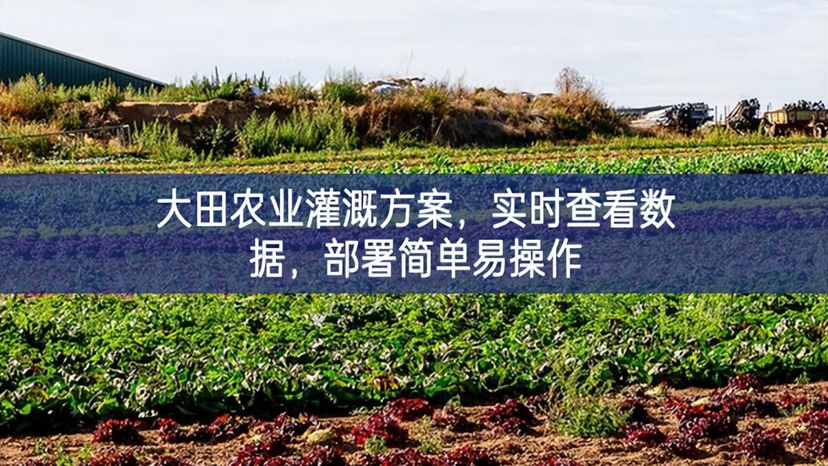 大田農業灌溉方案，實時查看數據，部署簡單易操作