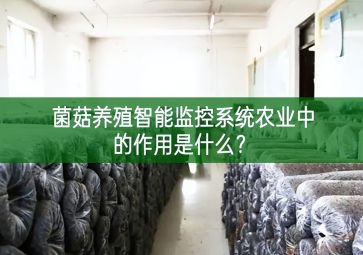 「智慧養殖」菌菇養殖智能監控系統在農業中的作用是什么？