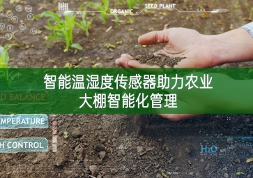 智能溫濕度傳感器助力農業大棚智能化管理