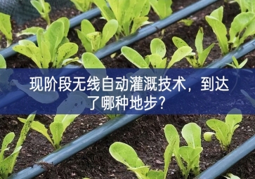 現階段無線自動灌溉技術，到達了哪種地步？