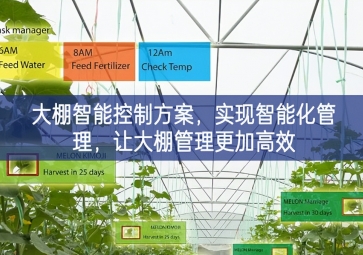 「智慧農業」大棚智能控制方案,實現智能化管理，讓大棚管理更加高效 