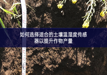如何選擇適合的土壤溫濕度傳感器以提升作物產量