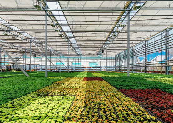 薄膜連棟溫室大棚監(jiān)控系統(tǒng) 薄膜連棟溫室大棚監(jiān)控系統(tǒng)