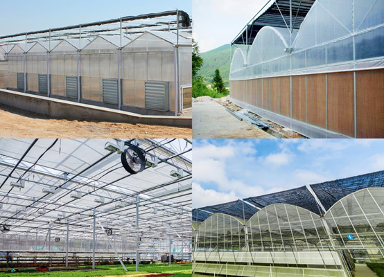 薄膜連棟溫室大棚監(jiān)控系統(tǒng) 薄膜連棟溫室大棚監(jiān)控系統(tǒng)